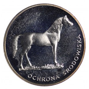 100 złotych 1981, Ochrona Środowiska - Koń