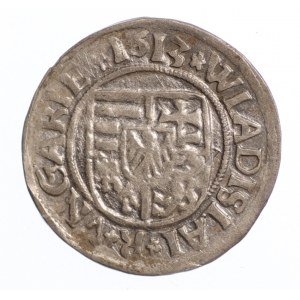 Węgry, Władysław II , Denar Kremnica 1513 KG