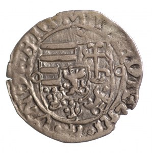 Węgry, Władysław II (1490-1516) denar, K-M / AF - pikny