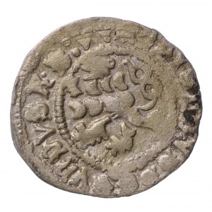 Czechy, Władysław II (1471-1516), denar Kuttenberg