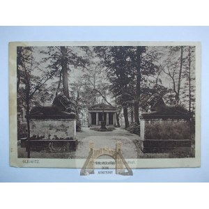 Gliwice, wejście na cmentarz, lwy 1913