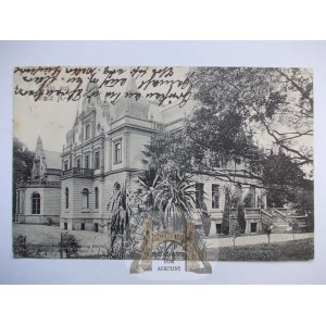 Witnica k. Gryfino, pałac 1910