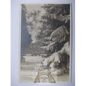 Gdańsk Oliwa, Danzig Oliva, park pałacowy, zimowa, zdjęciowa fot. Gottheil&Sohn ok. 1935