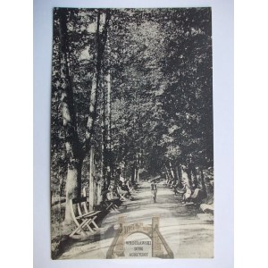 Krynica aleja w parku 1929