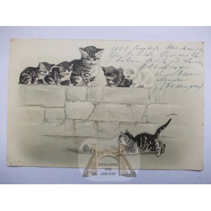 Kot, zabawa kotków, tłoczona, 1901