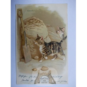 Kot, w poszukiwaniu myszy, litografia, 1901
