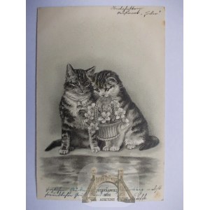 Kot, zakochane kotki, tłoczona,1901