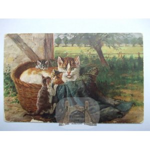 Kot, kotki w koszu, malarska 1910