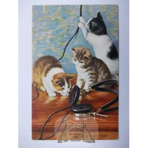Kot, kotki i słuchawki, malarska, ok 1910