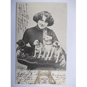 Pies, pieski i kobieta, kolaż, 1904
