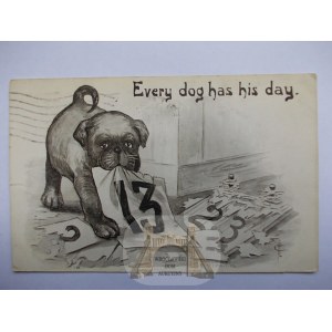 Pies, Każdy pies ma swój dzień, 1912