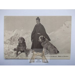 Pies, Bernardyny w górach, ok. 1910