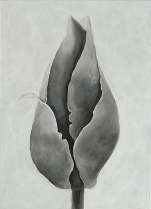 Hanna Pyrzyńska, Magnolia , 2018