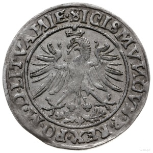 grosz 1535, Wilno; bez litery pod Pogonią, litery N odw...
