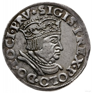 trojak 1536, Gdańsk; popiersie króla z wąską głową, koń...