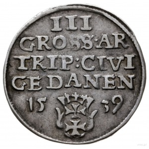 trojak 1539, Gdańsk; popiersie króla w czepcu i koronie...