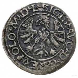 półgrosz 1566, Tykocin; moneta z dużym herbem Jastrzębi...