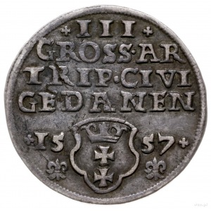 trojak 1557, Gdańsk; popiersie króla bez obwódki, odmia...