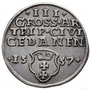 trojak 1557, Gdańsk; awers bez obwódki, popiersie króla...