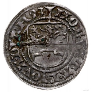 szeląg 1495, Dąbie; Dbg 383; na monetach pomorskich Bog...