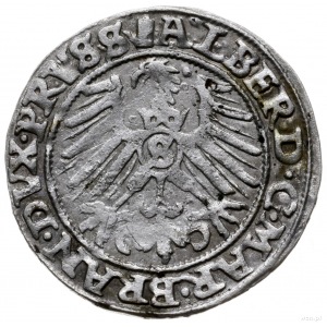 grosz 1558, Królewiec; Slg. Marienburg 1222, Voss. 1411...