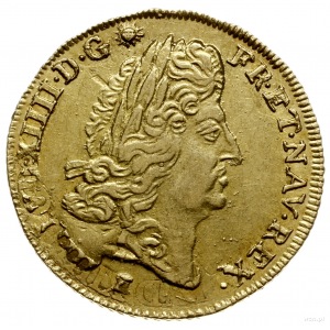 louis d’or a l’ecu 1691 I, Limoges; Droulers 406, Gad. ...
