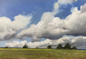 Aleksander Żywiecki, Chmury nad łąką, 2016