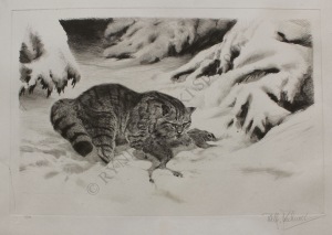 Wilhelm Kuchnert (1865-1926), Dziki kot z zającem