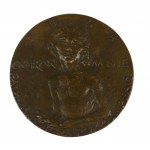 STASIŃSKI Józef - Medal OCHROŃ MNIE, Opus 14, 1955r., średnica 75mm