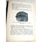 GEIKE- POCZĄTKI GEOLOGII wyd.1875
