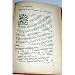 WIELICZKA- SZKICE I FRAGMENTY Z POWSTANIA WIELKOPOLSKIEGO 1918/19 wyd.1933