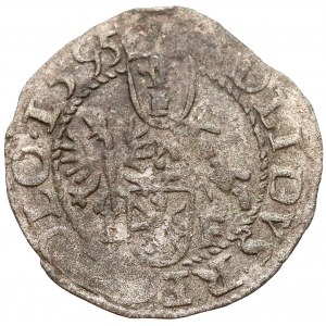 Zygmunt III Waza, Szeląg Wschowa 1595 - rzadki