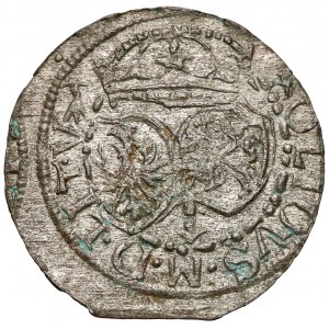 Zygmunt III Waza, Szeląg Wilno 1614 - ozdobne tarcze - Sztypel