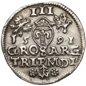 Zygmunt III Waza, Trojak Wilno 1591 - Chalecki między rozetkami 