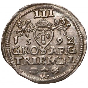 Zygmunt III Waza, Trojak Wilno 1592 - duży krążek