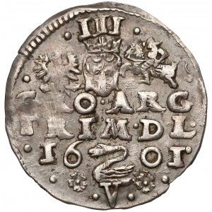 Zygmunt III Waza, Trojak Wilno 1601 - Łabędź - litera V