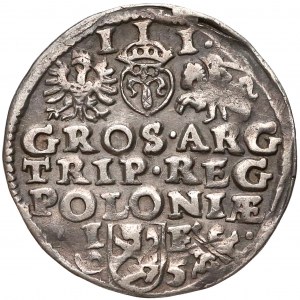 Zygmunt III Waza, Trojak Lublin 1595 - Koste
