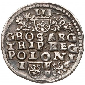 Zygmunt III Waza, Trojak Lublin 1596 - IE - data po bokach Lwa