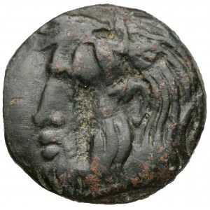 Pontic Olbia, AE22 (330-300 BC)