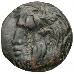 Grecja, Olbia, AE22 (330-300pne)