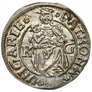 Węgry, Władysław II Jagiellończyk, Denar 1511 - piękny