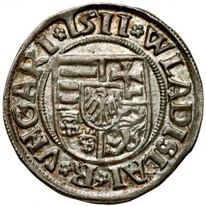 Ungarn, Vladislav II., Denar 1511 - sehr schön