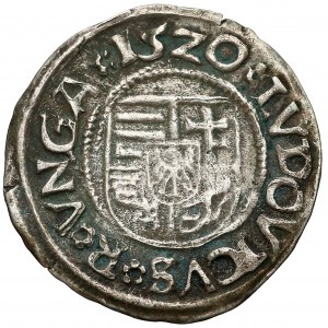 Hungary, Louis II, Denar 1520