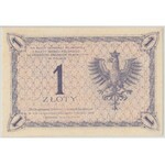 1 złoty 1919 - S. 50 H - PMG 64
