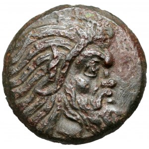 Grecja, Pantikapajon, AE22 (345-310pne)