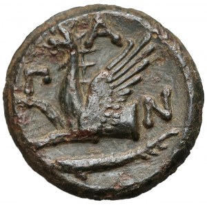Grecja, Pantikapajon, AE22 (345-310pne)