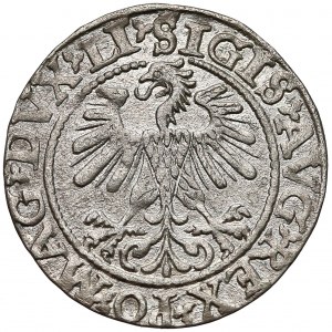 Zygmunt II August, Półgrosz Wilno 1560 - LI