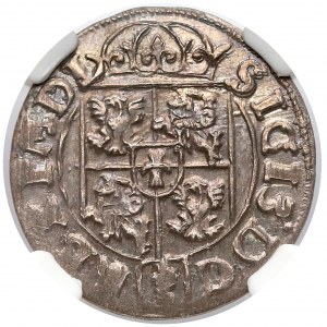 Zygmunt III Waza, Półtorak 1616 Bydgoszcz - Sas w sześciokącie