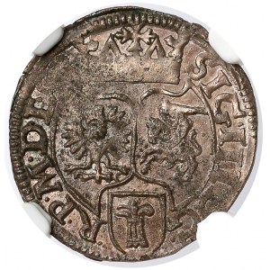 Zygmunt III Waza, Szeląg Poznań 1592 - piękny