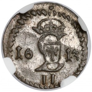 Zygmunt III Waza, Dwudenar Wilno 1613 - ogon podniesiony